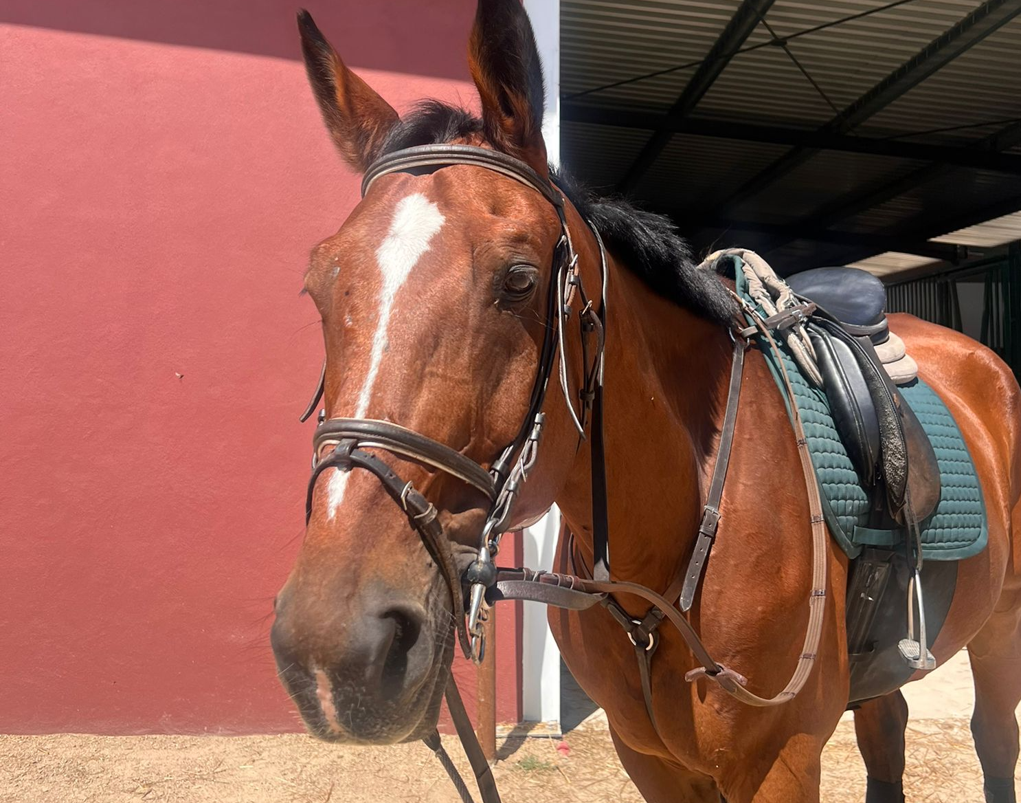 Votchero